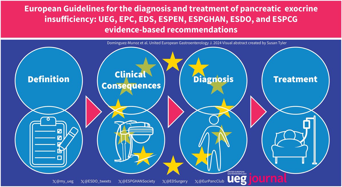 🇪🇺 The European guidelines for the diagnosis and treatment of pancreatic exocrine insufficiency 💊 

🤝 A multi societal effort <a href="/my_ueg/">my_UEG</a> ✨ <a href="/UEGJournal/">UEGJ</a> 

🎯 Diagnosis / Treatment and Future Research lines all in one! 

onlinelibrary.wiley.com/doi/full/10.10…