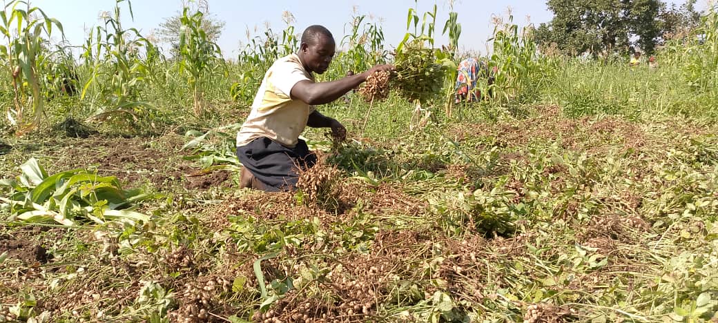MissionUgandaX's tweet photo. As we target the women in our interventions, we equally support involvement of men as advocates to their fellow Men in fostering Women rights across different dimensions.@CivFund_ ,@GWEDGUga https://t.co/wjOBepjblF