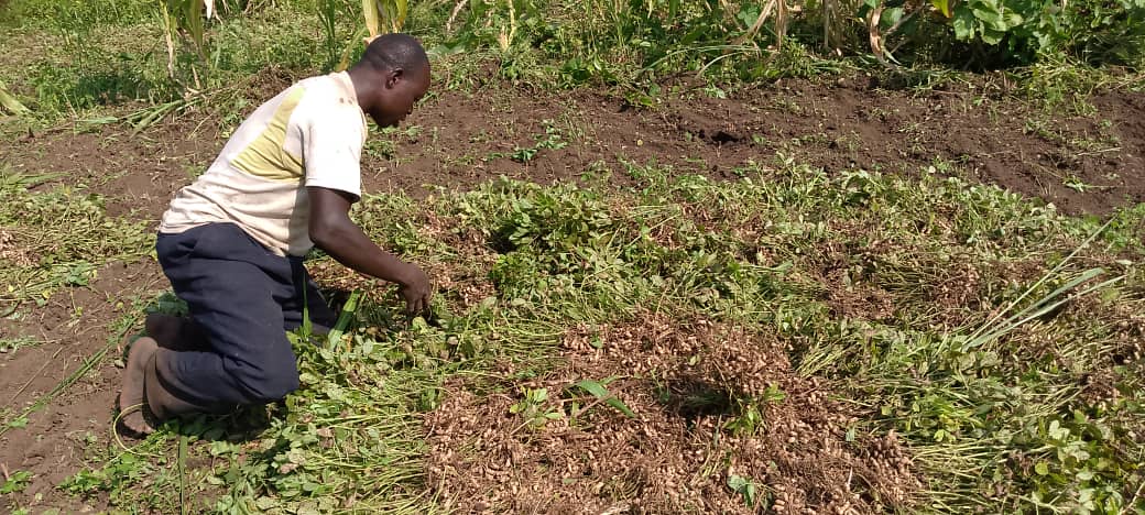 MissionUgandaX's tweet photo. As we target the women in our interventions, we equally support involvement of men as advocates to their fellow Men in fostering Women rights across different dimensions.@CivFund_ ,@GWEDGUga https://t.co/wjOBepjblF