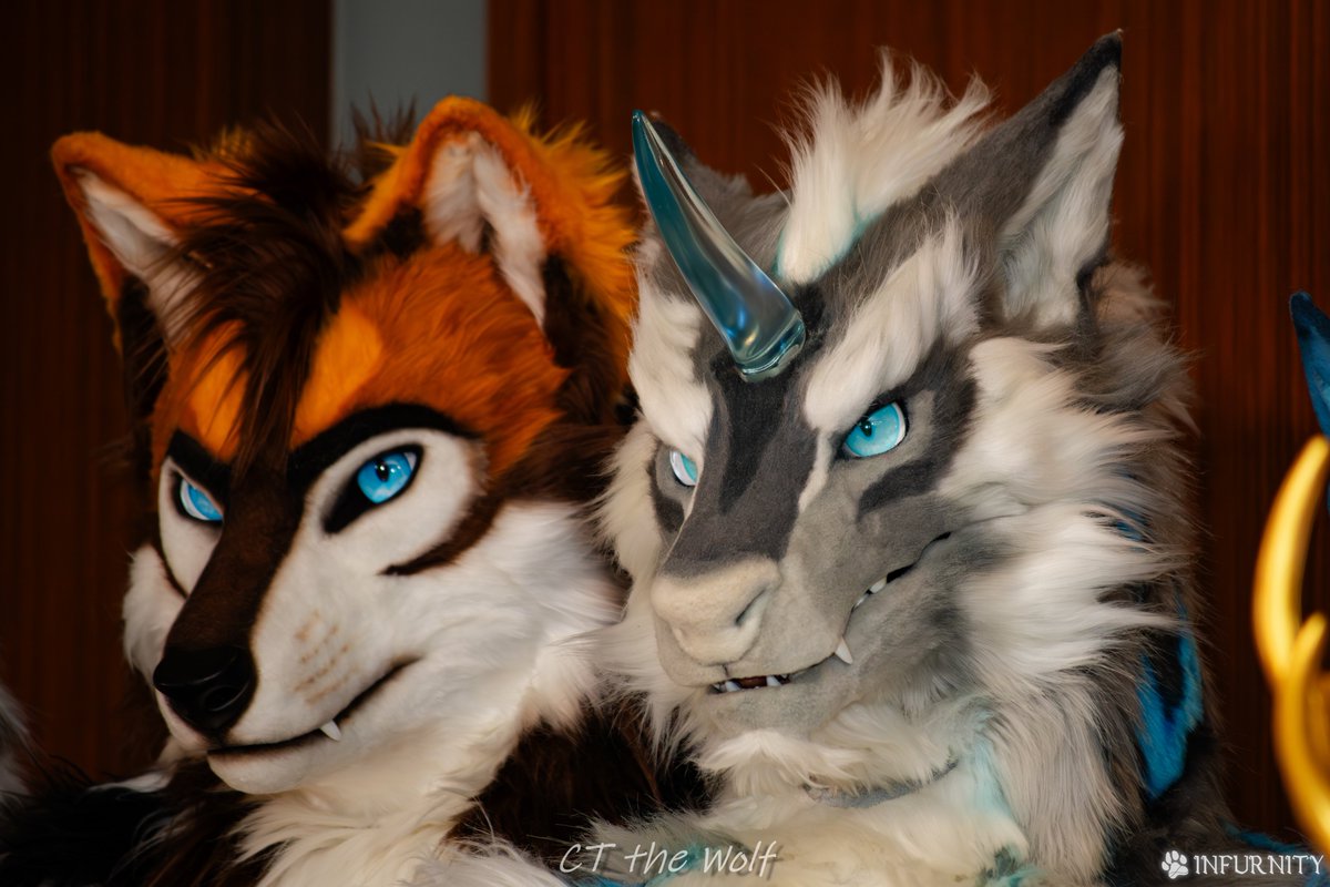 All eyes straight ahead!

#FursuitFriday #Infurnity2024