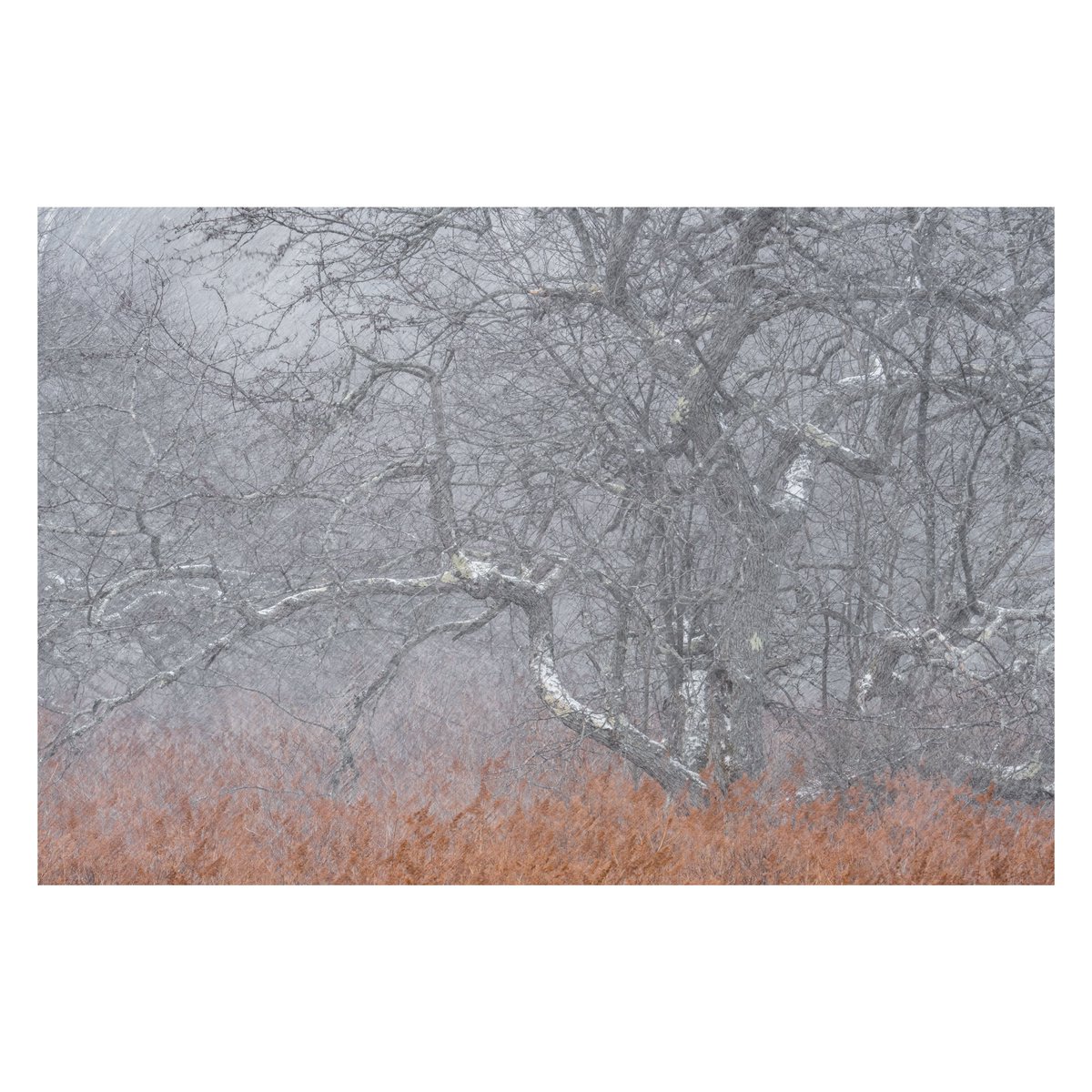 nana082282's tweet image. Winter has come
明日はシーズンインしやす⛷️

FUJIFILM #GFX100 #XT5