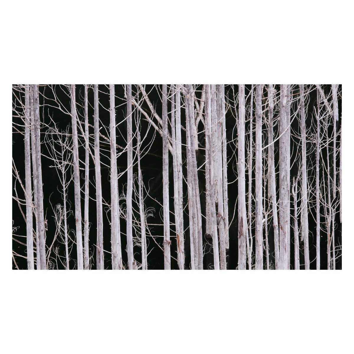 nana082282's tweet image. Winter has come
明日はシーズンインしやす⛷️

FUJIFILM #GFX100 #XT5