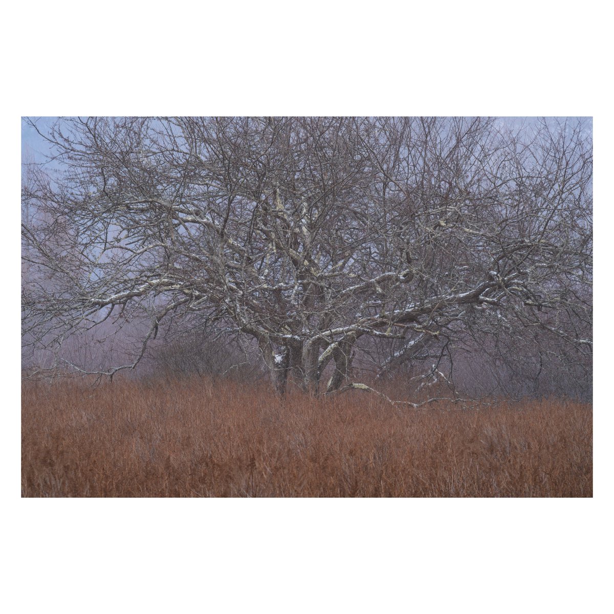 nana082282's tweet image. Winter has come
明日はシーズンインしやす⛷️

FUJIFILM #GFX100 #XT5