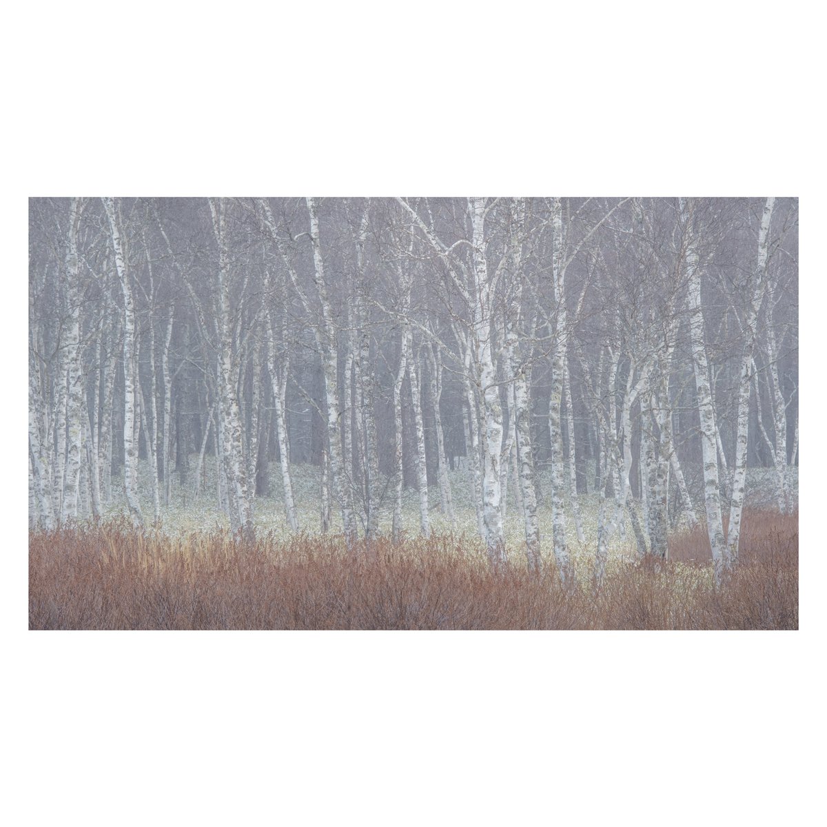 nana082282's tweet image. Winter has come
明日はシーズンインしやす⛷️

FUJIFILM #GFX100 #XT5