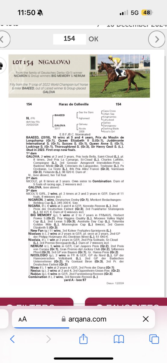 Lot 154 is a filly from the first crop of <a href="/Shadwell_EU/">SHADWELL</a> champion Baaeed out of Listed winner and Group 2 placed Galova (Galiway) selling Saturday <a href="/InfoArqana/">ARQANA</a>