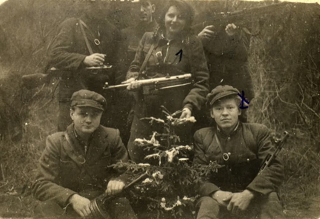 Rimantas ‡ tweet media