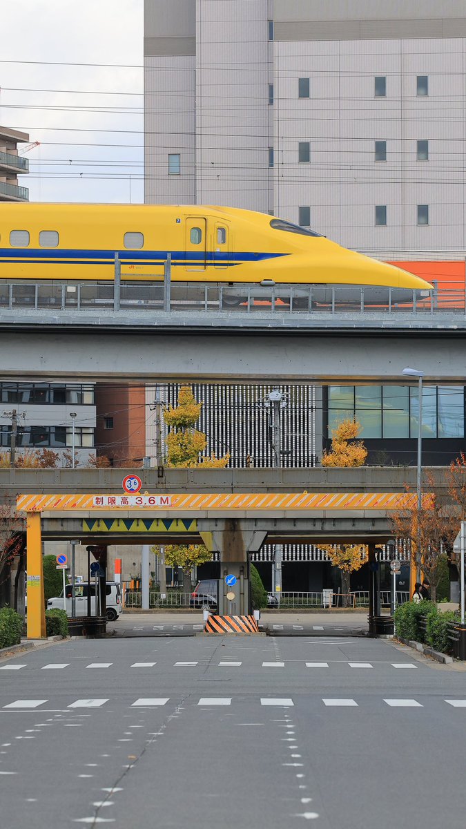 odoru2001's tweet image. 🎤Zepp Nagoya前横断歩道とドクターイエロー🎸
2024年12月5日 、以前から気になっていた撮影地、ささしまライブ駅近くのライブハウス「Zepp Nagoya」前の道路からドクターイエローの写真を撮影しました

#eosr6markii
#eosr6mark2
#ef100400mmf45_56lisusm 
#rf2470 
#rf2470f28lisusm…