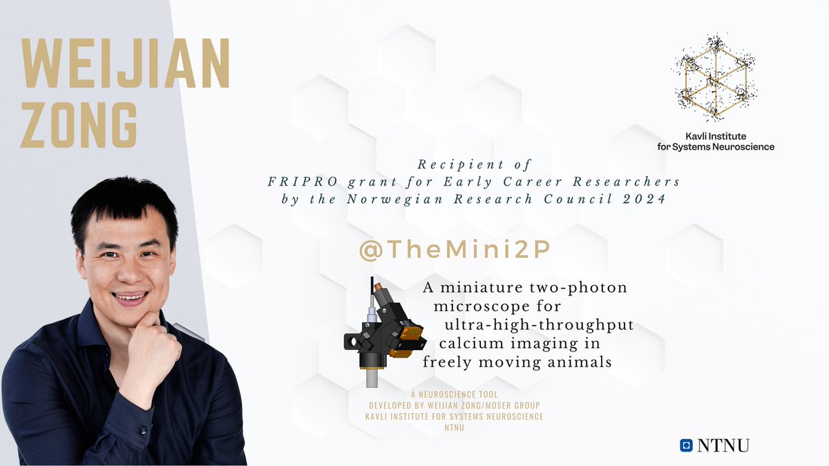 Kavli Neuroscience (@kisneuro) on Twitter photo Congratulations to the brilliant <a href="/WikiZong/">Weijian Zong</a> for receiving a FRIPRO grant by <a href="/forskningsradet/">Norges forskningsråd</a> for the miniature microscope <a href="/TheMini2P/">Mini2P</a> that allows researchers to see 👀 cognitive functions emerge from thousands of collaborating neurons in the brain 🧠 of a freely behaving mouse! Congratulations to the brilliant <a href="/WikiZong/">Weijian Zong</a> for receiving a FRIPRO grant by <a href="/forskningsradet/">Norges forskningsråd</a> for the miniature microscope <a href="/TheMini2P/">Mini2P</a> that allows researchers to see 👀 cognitive functions emerge from thousands of collaborating neurons in the brain 🧠 of a freely behaving mouse!