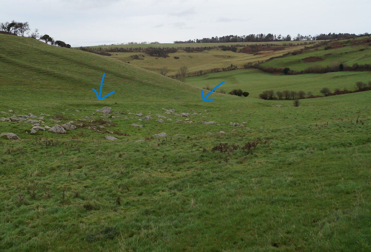 PastParticipate tweet media