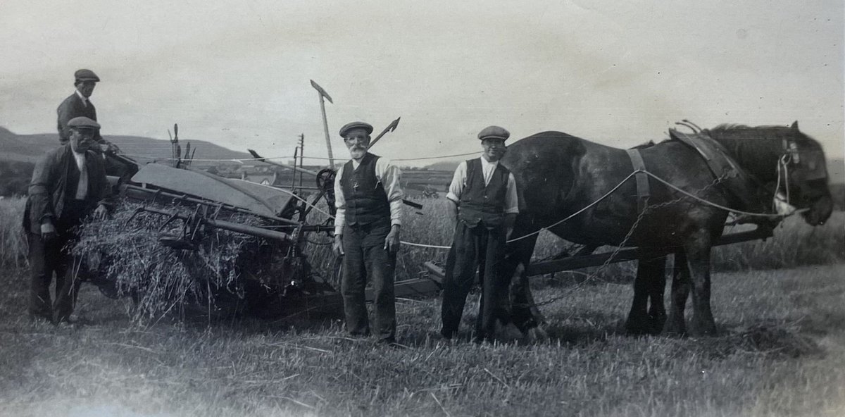 rushenheritage's tweet photo. Our next talk at @erinartscentre is on Mon Jan 6 - Fields of Time, with farmer Paul Costain, the Captain of the Parish of Rushen. We’re expecting these tickets to go very quickly…
https://t.co/dQO0jYhgTg
You can also get tickets in person from Bridge Bookshop in PE (cash only). https://t.co/rYxgmyXzy0