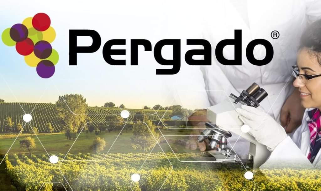 MILLEVIGNE (@millevigne) on Twitter photo 🌀 News dalle aziende - Per le loro caratteristiche tecniche i prodotti della Linea PERGADO di <a href="/SyngentaItalia/">Syngenta Italia</a> offrono i massimi vantaggi soprattutto nelle prime fasi dei programmi antiperonosporici.  Scopri di più qui ➡ shorturl.at/uTufk 🌀 News dalle aziende - Per le loro caratteristiche tecniche i prodotti della Linea PERGADO di <a href="/SyngentaItalia/">Syngenta Italia</a> offrono i massimi vantaggi soprattutto nelle prime fasi dei programmi antiperonosporici.  Scopri di più qui ➡ shorturl.at/uTufk