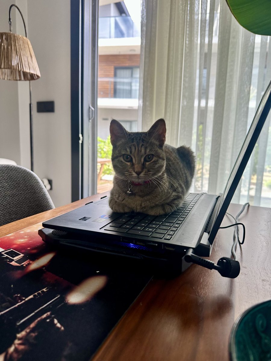 Pki nedem sisi aylem olarak kabul edmeliyim?