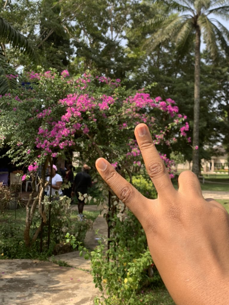 eniolaaapata's tweet photo. ☮️🤍 https://t.co/RkYtIPQKZs