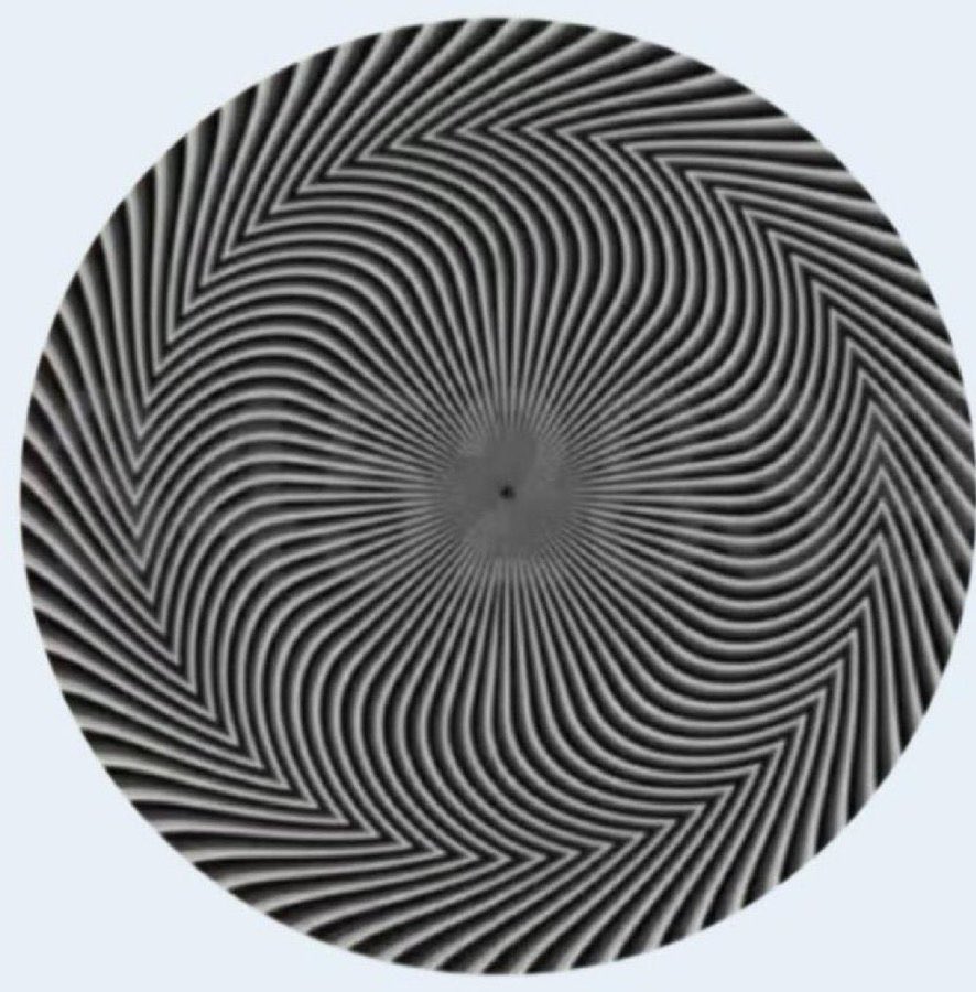 elonmuskADO's tweet image. Let’s end this once and for all. 

What numbers do you see?