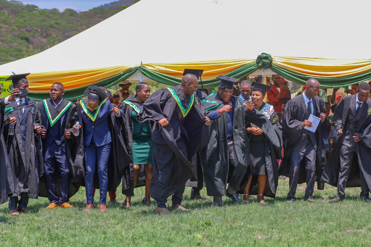 Zimparks tweet media