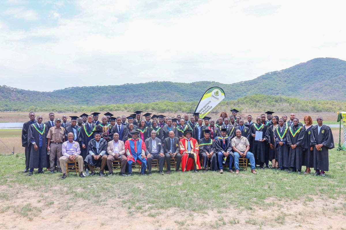 Zimparks tweet media