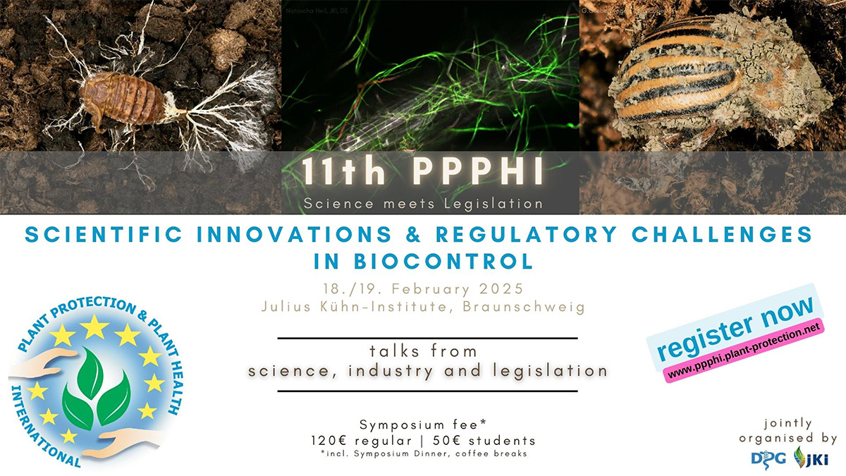 iobc-wprs.org/meeting/11th-p…
The 11th PPPHI symposium aims to exchange knowledge and to develop ideas how research may contribute to overcome the current scientific and regulatory limitations of using #biocontrol agents in crop production.
