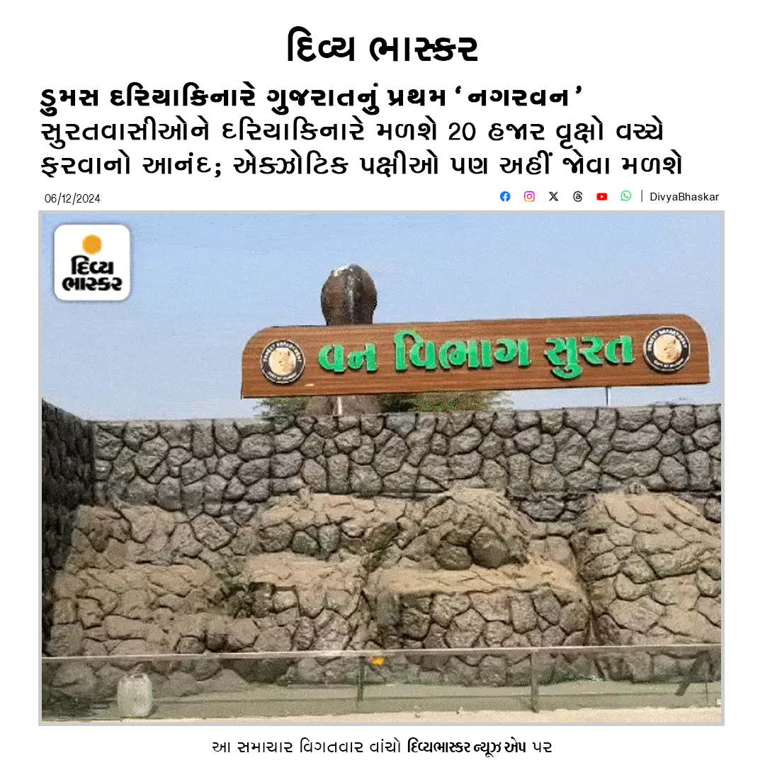 Divya_Bhaskar's tweet photo. ડુમસ દરિયાકિનારે ગુજરાતનું પ્રથમ 'નગરવન'; સુરતવાસીઓને દરિયાકિનારે મળશે 20 હજાર વૃક્ષો વચ્ચે ફરવાનો આનંદ; અમેરિકા-આફ્રિકાનાં પક્ષીઓનો કલબલાટ આપશે મનની શાંતિ - https://t.co/u3WDj1boyr
#Dumas #DumasBeach #Nagarvan #Gujarat https://t.co/HtQG22wFtJ