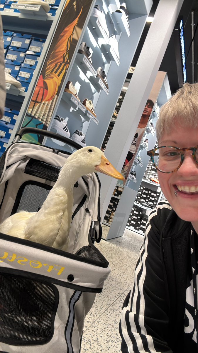 jrgow_'s tweet photo. @virgoburd It’s a duck and their name is frosty hahah. It’s my wee pal https://t.co/gAwAcQHUZJ