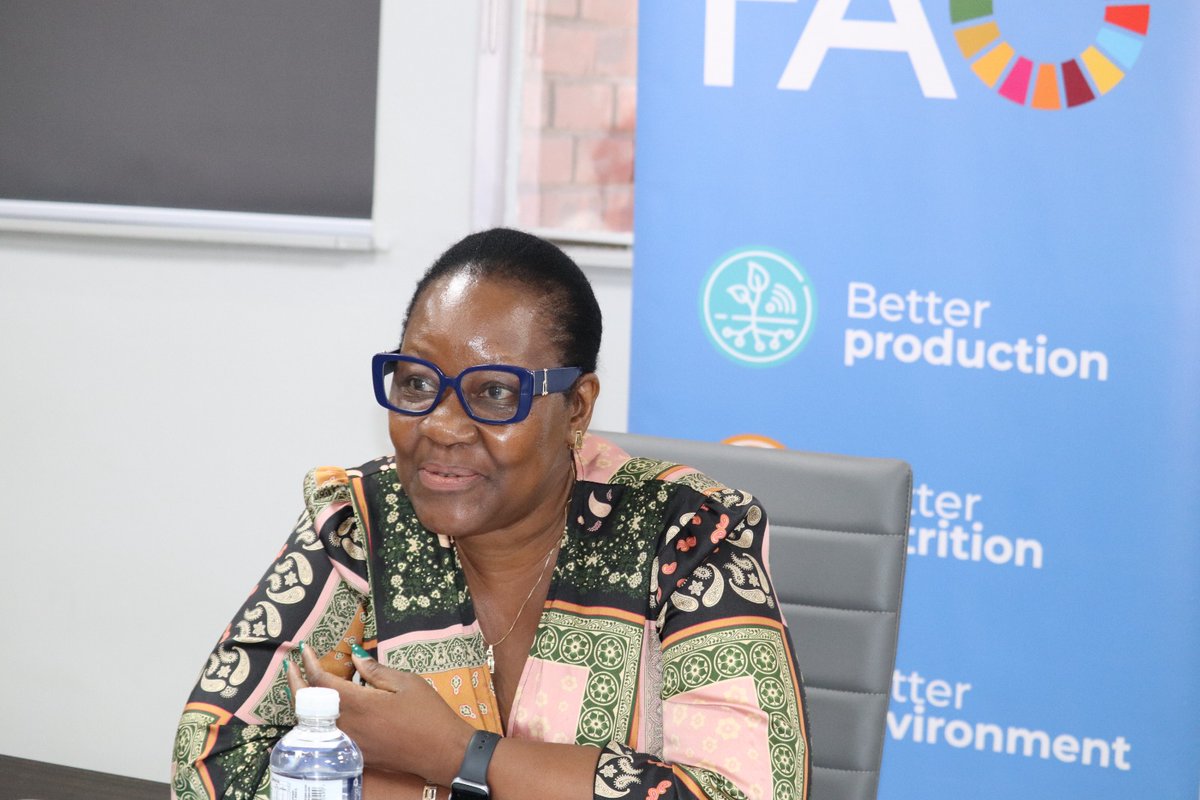 CMucavi's tweet photo. This morning, I had the honor of officially handing over #STOSAR project assets to the Permanent Secretary of Lands & Agriculture, Nancy Chengeta. This milestone underscores the successful completion of a project aimed at advancing innovative & sustainable agricfood solutions https://t.co/4Vx70MpLmZ