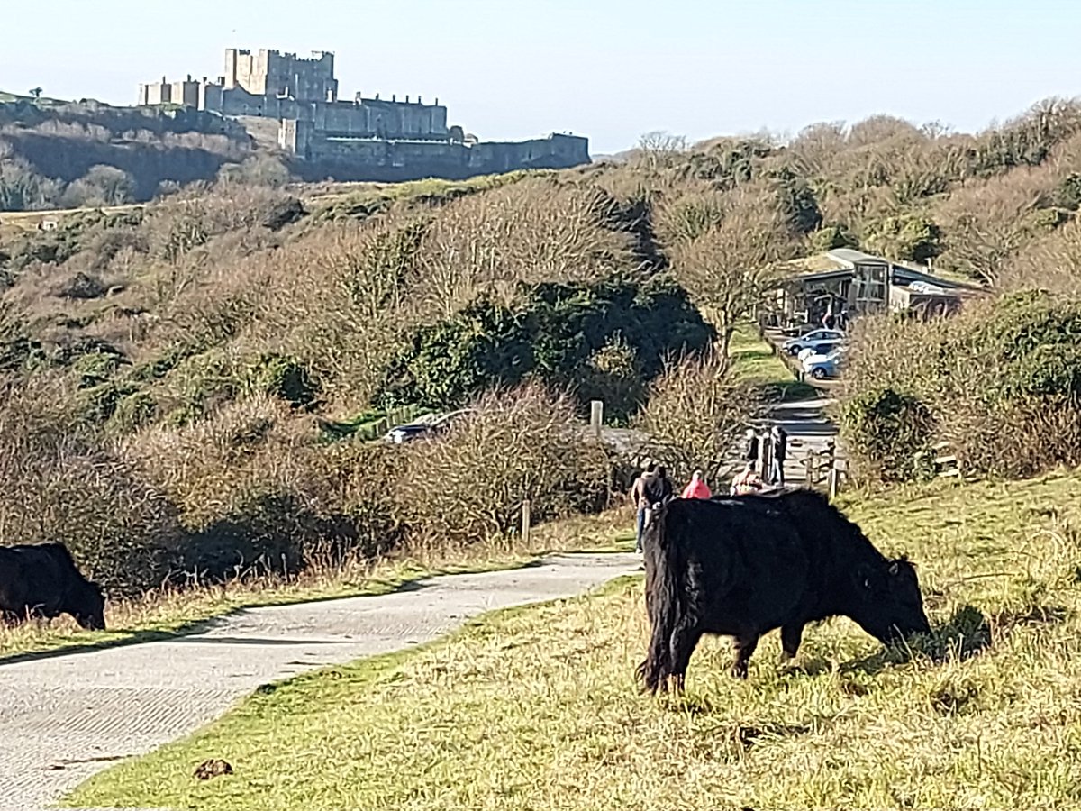 Judithloveseyes's tweet photo. The calm before storm Darragh.
#WhiteCliffsofDover https://t.co/KakU7tzlI7