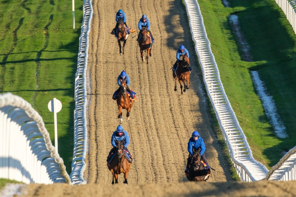 Godolphin tweet media