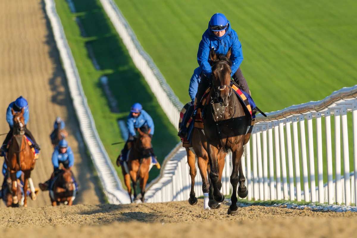 Godolphin tweet media