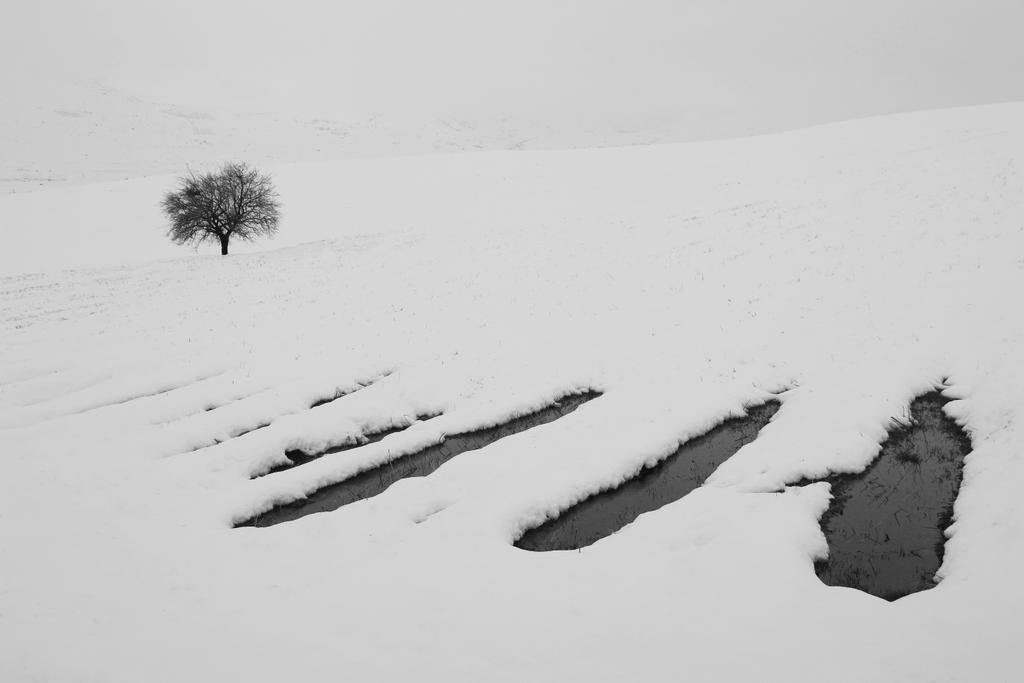 Abbas_rahmani63's tweet photo. Happy friday!

"Silence"
2/10 edition   7 #tezos
 
#photography
Link:
https://t.co/c2NmxqS3Uw https://t.co/uJ3kIGHP7V