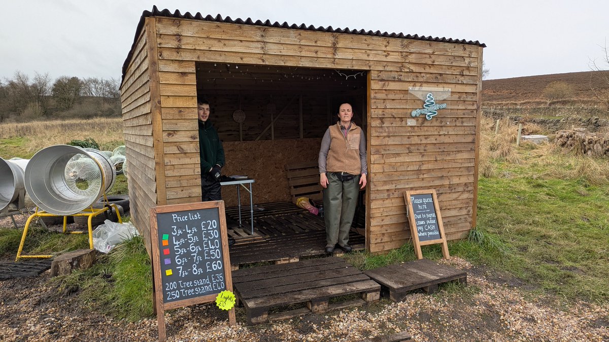 A beautiful day for Christmas Tree picking.