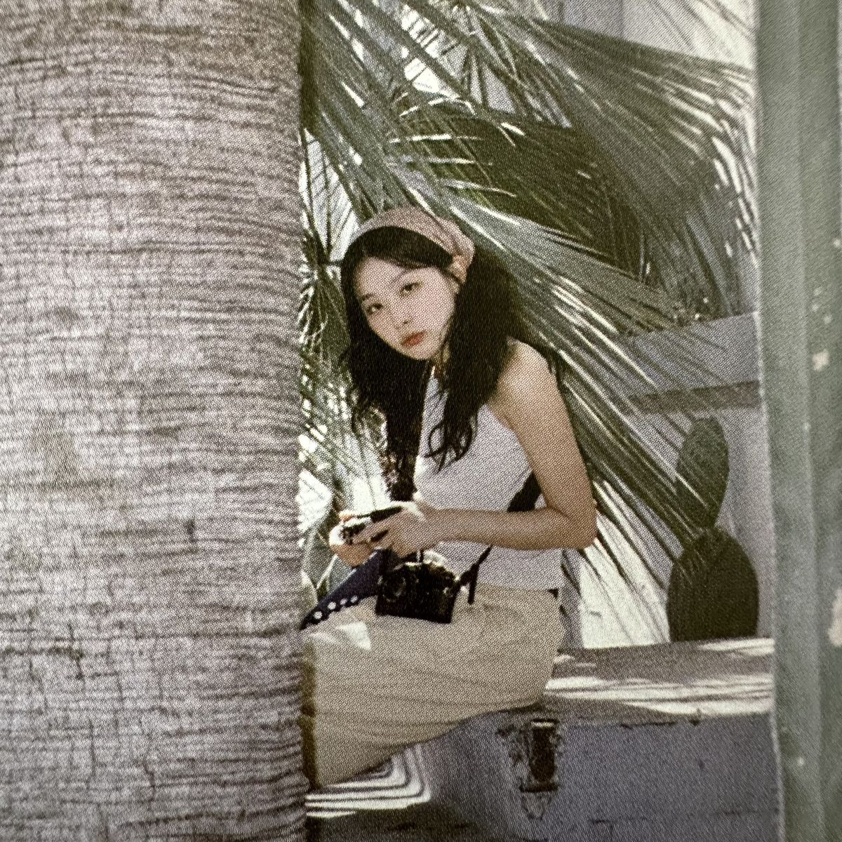 seulgi pics tweet media