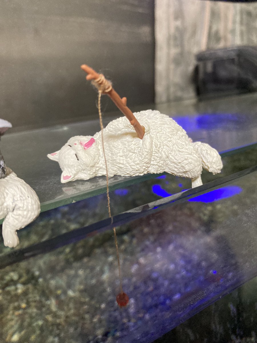 zeondukedomparm's tweet photo. うちの金魚水槽にピッタリなガチャガチャの景品見つけた
全種類集めたくなりました https://t.co/56vTFozy1H