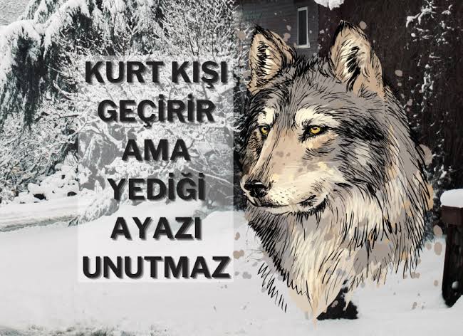 Sincan Yenikentte dün öğle saatlerinde bilgi verilmeden su kesintisi yaptınız. Tam üç sefer suyun geleceği saati güya güncellediniz. Yaklaşık 30 Yıldır Ankarada ikamet ediyorum 17 Yıldır Yenikentte oturuyorum böyle bir rezillik görmedim. <a href="/mansuryavas06/">Mansur Yavaş</a> döneminde adeta Yenikent
