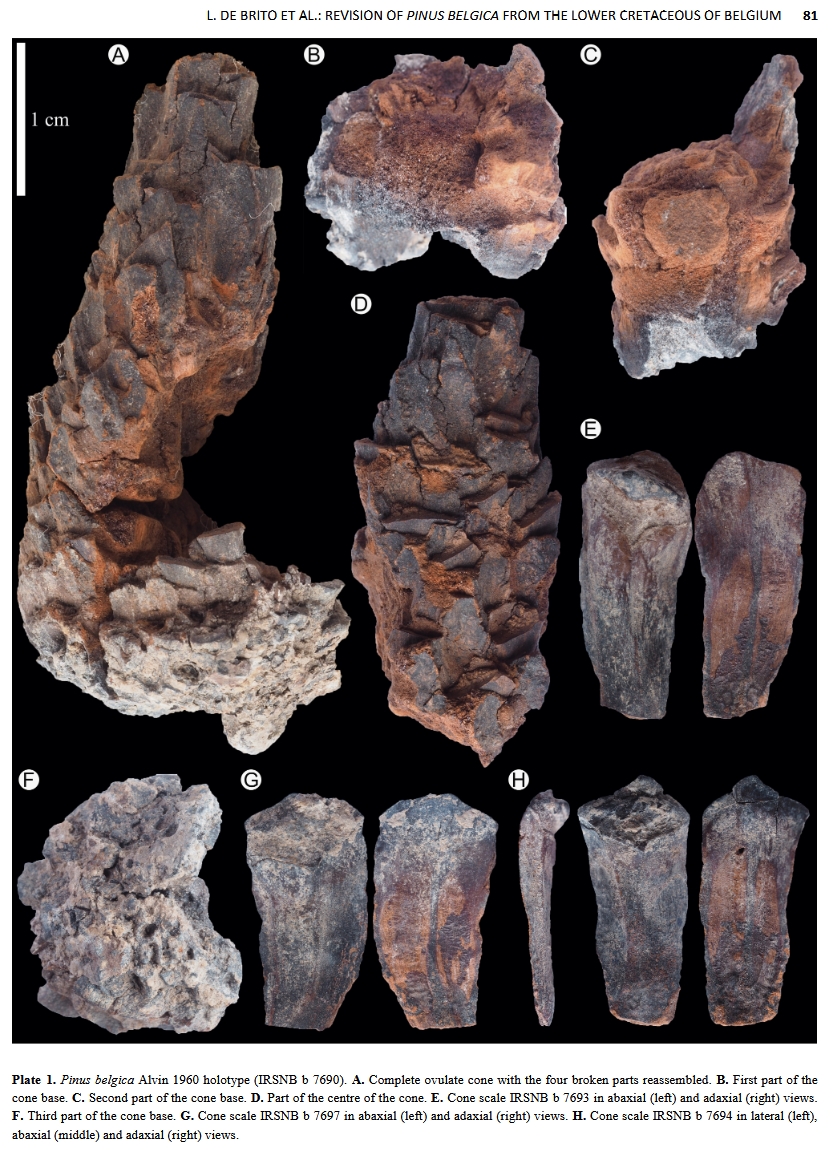 Geologica Belgica Luxemburga (GBLsp) tweet media