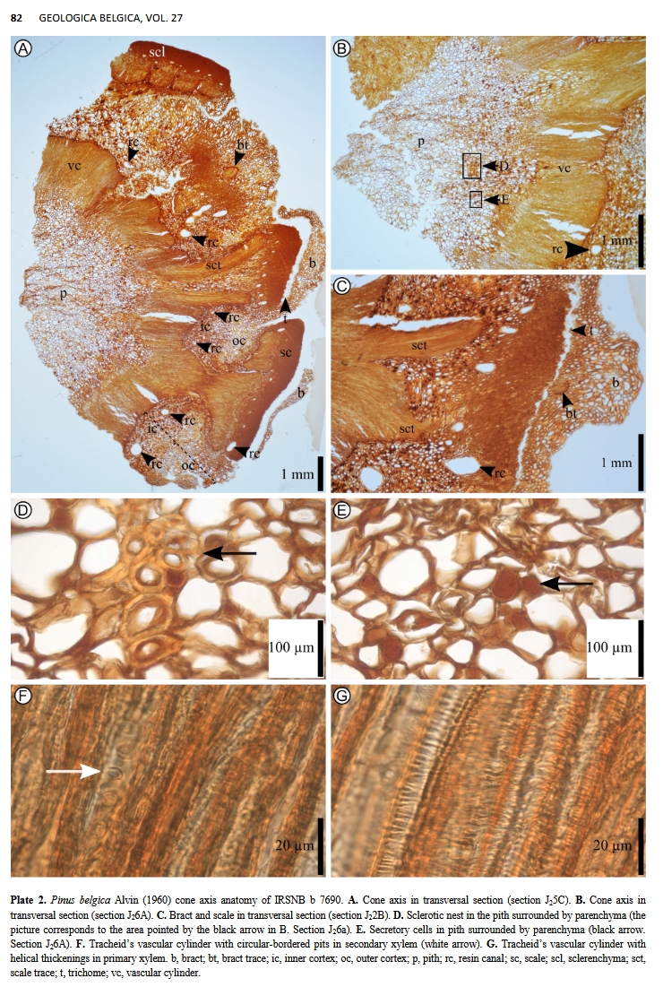 Geologica Belgica Luxemburga (GBLsp) tweet media