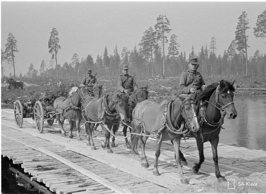 JaanaPohja1's tweet photo. Sotiimme lähti 72 000 siviilihevosta ja armeijan omat hevoset. Hevosia myös kaatui ja vammautui tuhansia. Lakki päästä kaikilta! Ilman hevosta emme olisi pärjänneet.  #itsenäisyyspäivä2024 #Suomi #hevonen  #suomenhevonen 💕 https://t.co/toVFB6bFLo