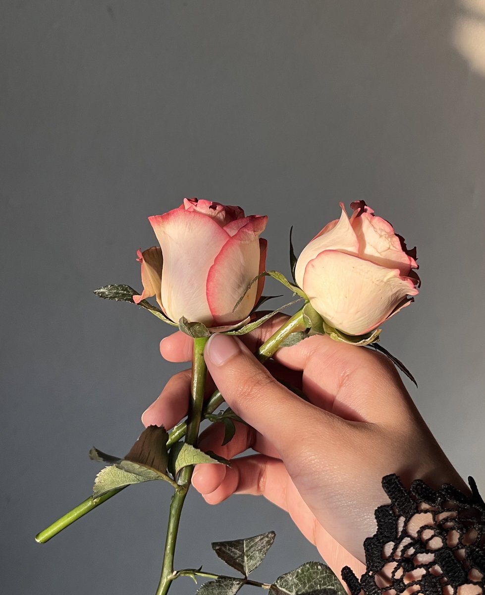 I got flowers 💐