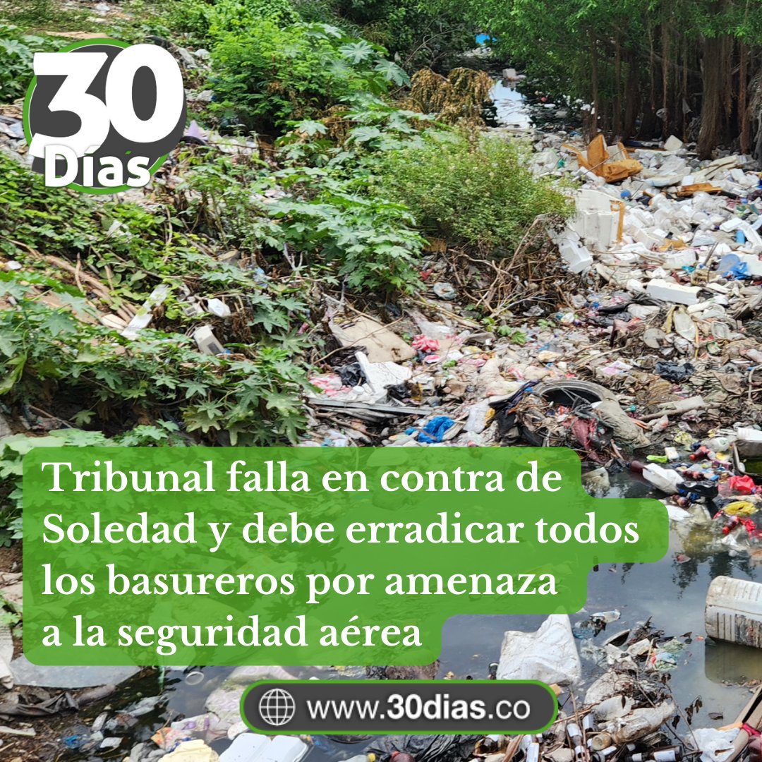 ATENTOS▶️
12 años tardó la justicia para decidir que Soledad e Interaseo deben intervenir, clausurar y erradicar de manera definitiva y total los basureros que afectan la salud, el medio ambiente y en especial la seguridad aérea en el Ernesto Cortissoz.

30dias.co/tribunal-falla…