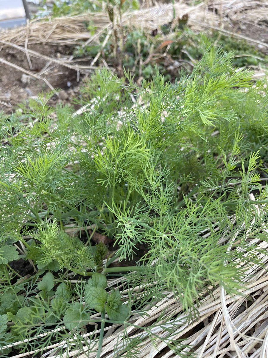 JIKE STUDIO 寺家スタジオ tweet media