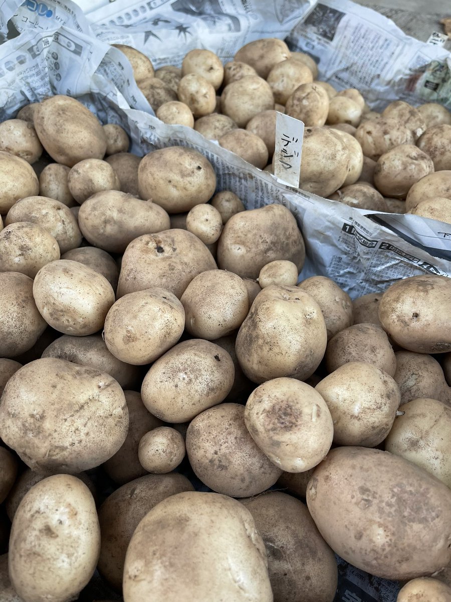 JIKE STUDIO 寺家スタジオ tweet media