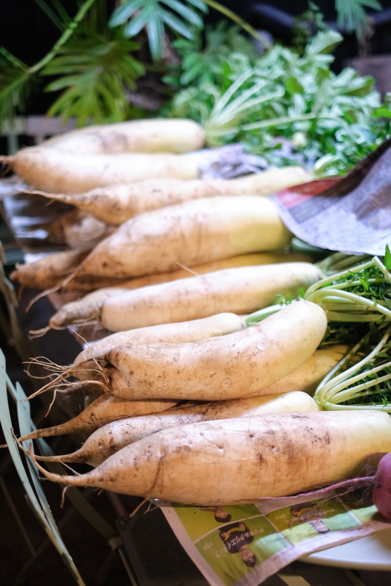 JIKE STUDIO 寺家スタジオ tweet media