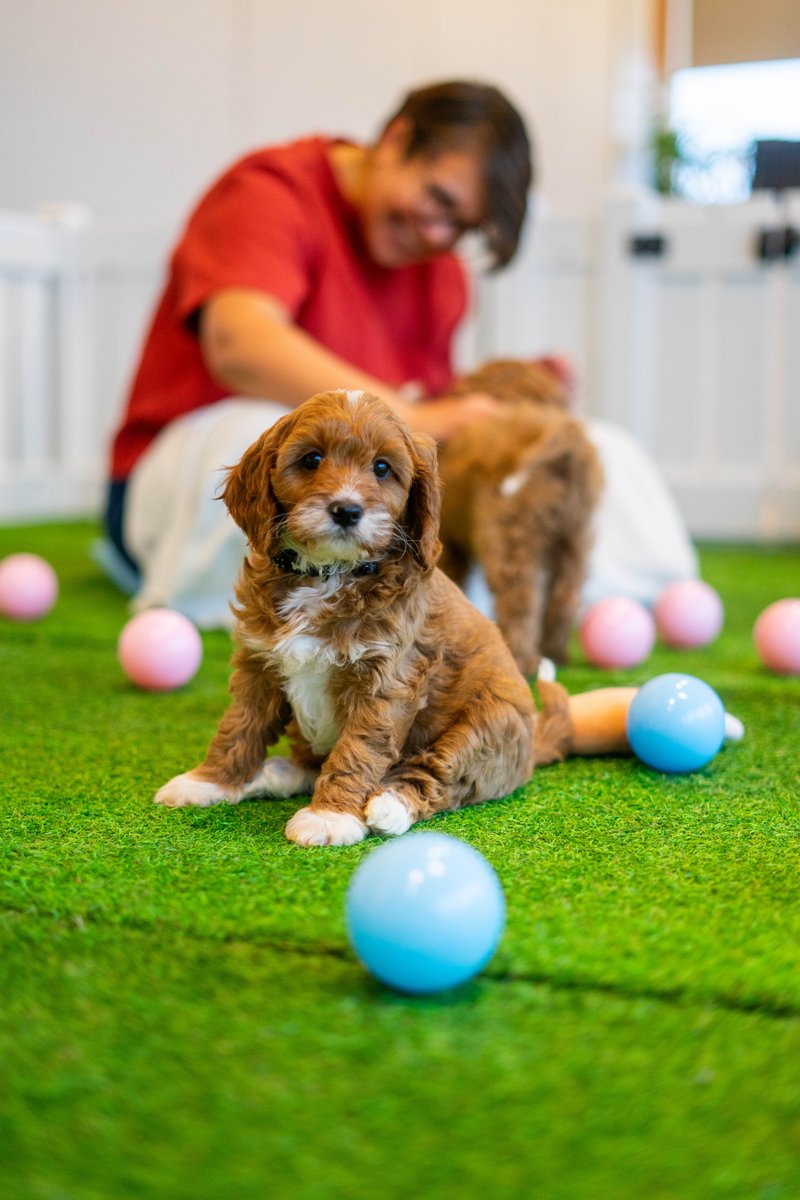 Eastern City BID tweet media