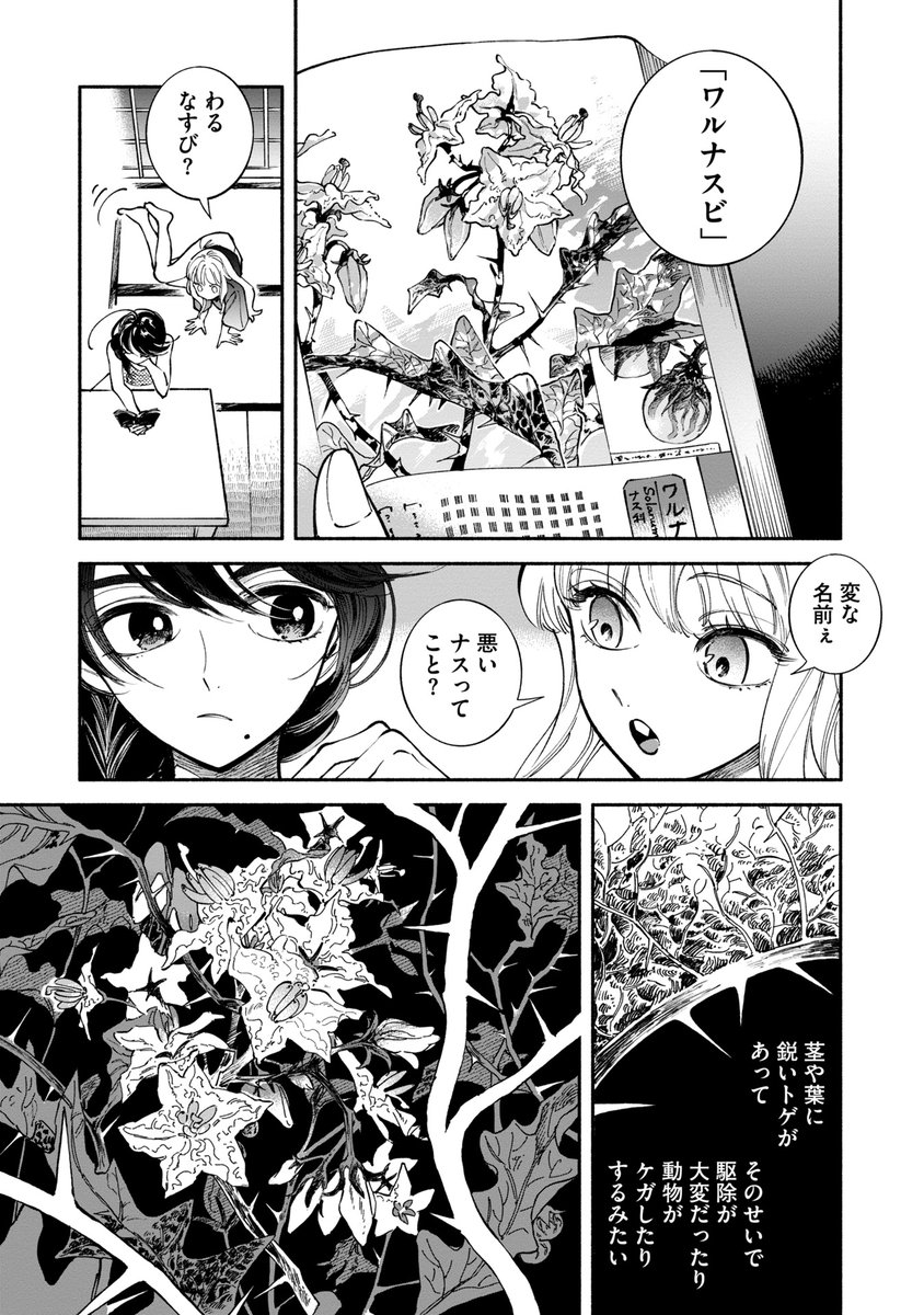野草に詳しくなかった女の子が、どんどん野草たちと出会っていく漫画です!人間より草がどっさり出てくる どれも短い単話読み切りなので、気になる草花からでもお気軽に☺️
COMIC熱帯『ののはな語らず』https://t.co/e2SBJg4hg7 