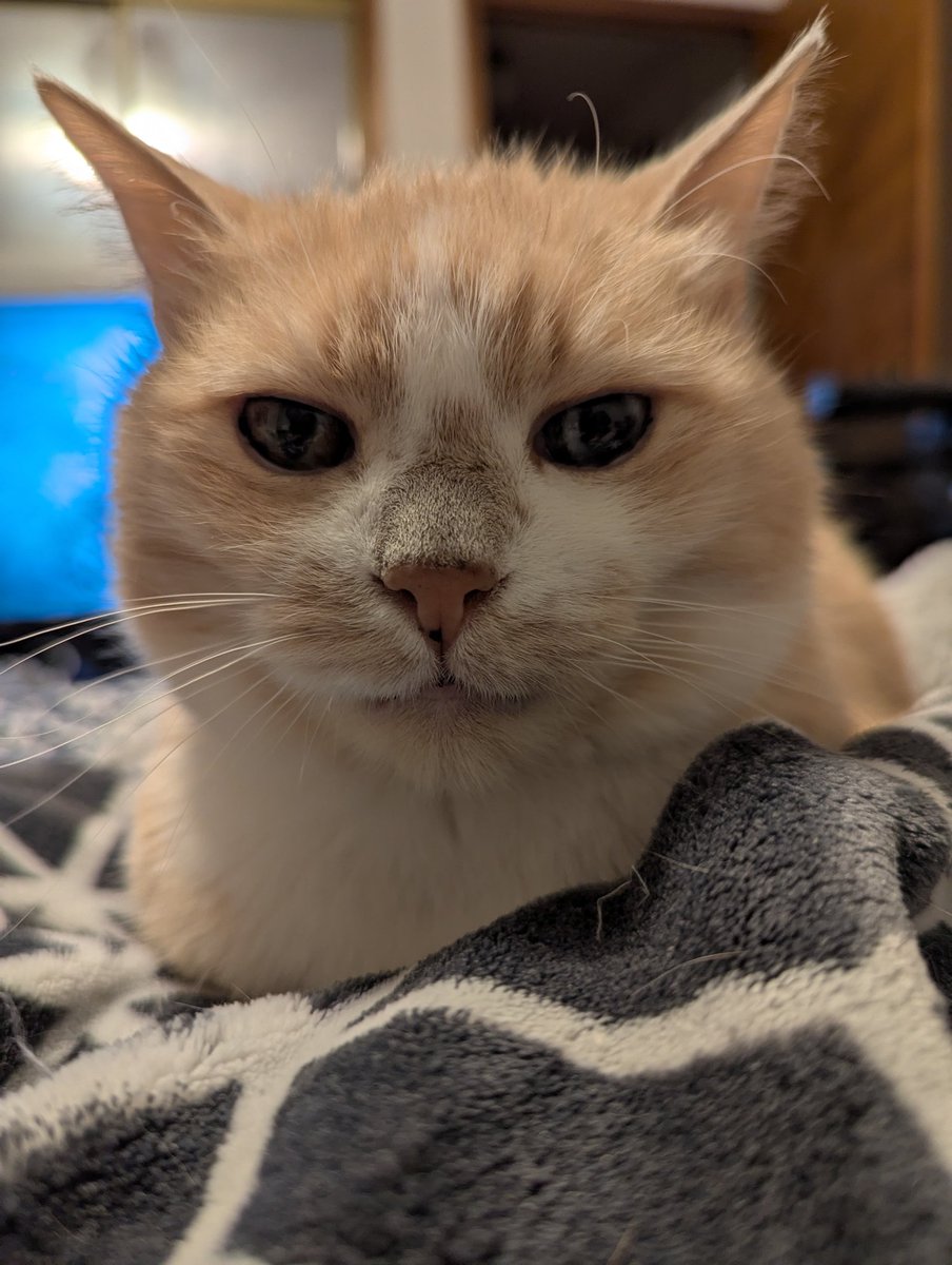 🤦🤦🤦🤦 I forgot to let you all know I'm home. Lol I couldn't find my phone. I found it lol I was/am exhausted. I got home &amp; passed out almost immediately. I woke up &amp; couldn't find my phone. I had forgotten I put it in the seat of the basket on my Kick-Ass Walker my friend got