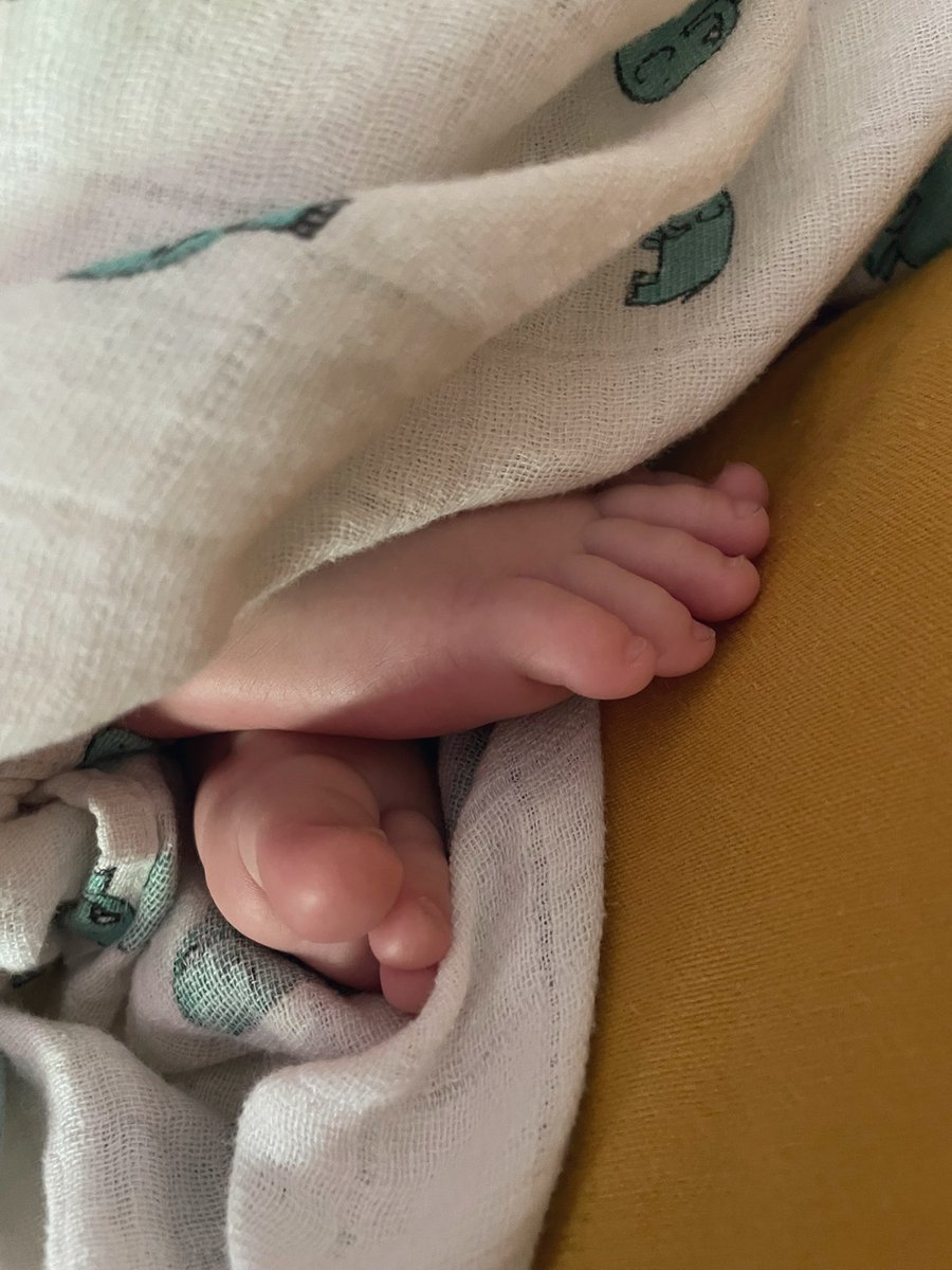 luisinat's tweet photo. Uso y recomiendo robarle el bebito a una amiga o conseguirte un sobri por un día.
El ASMR de bb dormido, el olor, las patitas, manitos, las sonrisas, los cachetes, las pestañas, salir a caminar con el cochecito.
Oxitocina pura que te saca del Paco.
Y devolverlo a la noche obvio. https://t.co/G8KSWiBMNx
