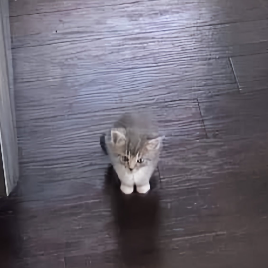 ᴋᴍ.✿ tweet media