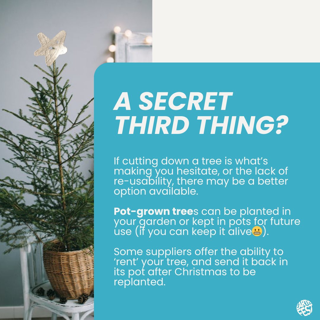 🎄 Real vs. Fake Christmas Trees: What's more sustainable?

💡 Real is almost always better than fake, unless you're planning to re-use your fake tree for at least 12 years.

Read the our full blog post for more detailed analysis: l8r.it/tNgB