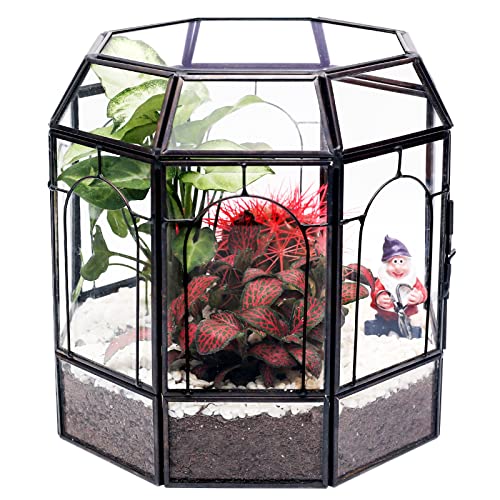 NomanSavings's tweet image. 2024 Best Terrarium Holiday Deals Are Live!
Bring nature indoors with expert-recommended terrariums. Shop today and save big!
amazon.com/shop/nomantips…
Affiliate Disclosure: As an Amazon Associate, I earn from qualifying purchases.
#TerrariumDeals #HolidaySavings #PlantDecor
