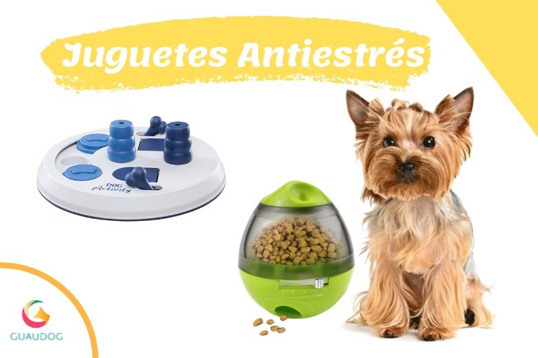 guaudogweb's tweet photo. 🥇【JUGUETES ANTIESTRÉS para perros】🚀
¿Problemas con tu perro en casa?
¿Se aburre?
¿Pasa muchas horas solo en casa?
Entonces este post es para ti.
✅¡ENTRA Y MEJORA LA VIDA DE TU PERRO!✅

https://t.co/Gmsaab0cdz https://t.co/aYYpwwQQ4c