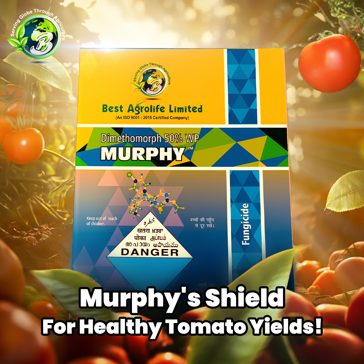 BestAgrolifeLtd's tweet photo. Murphy (Dimethomorph 50% WP) is a systemic fungicide that safeguards your fruit and vegetable crops against Downy Mildew and Late Blight.
#MurphyFungicide #CropProtection #HealthyCrops #TomatoFarming #BlightControl #SystemicFungicide #FarmerFirst #VegetableCrops #FarmCare https://t.co/KLiyv3e58n
