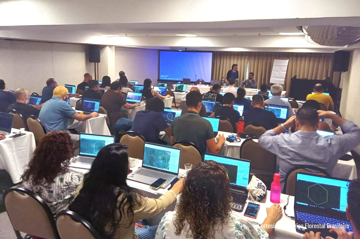 FAOBrasil's tweet photo. 🌎
Os participantes usaram a plataforma Collect Earth Online para analisar 250 amostras de dados (cada um) e realizar uma visita de campo em Gravatá (PE). Lá, validaram interpretações de imagens em áreas de florestas secas da Caatinga, um bioma exclusivamente brasileiro https://t.co/X1IKVQJiH1